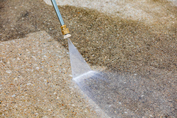 Animal Enclosure Cleaning in Parklawn, CA